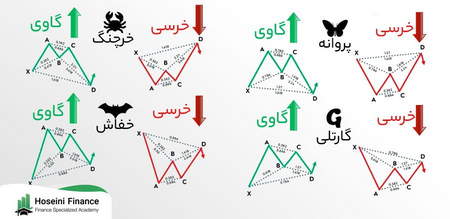 از مبتدی بودن تا میلیونر شدن با سهام